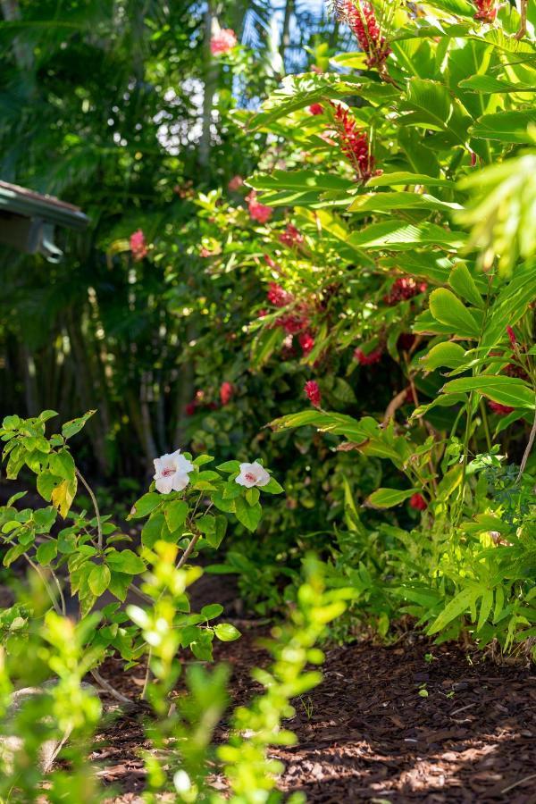 Noahs Hideaway Luxury B&B Lāhainā Exterior foto